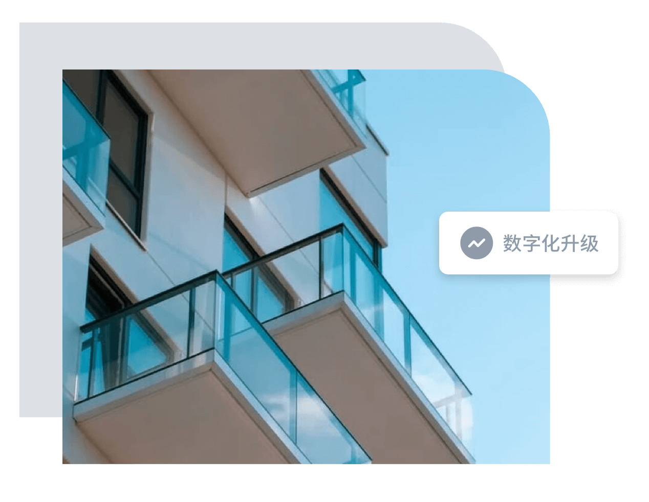 产品展示